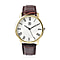 39.5mm Case:alloy case,Movement:PC21S/Japan Movement,Brand:STRADA,Plated:PNP gold+PNP steel color plating,Dail:white literal+roman number,Strap:brown PU strap,back:37mm ,202 Stainless steel 
