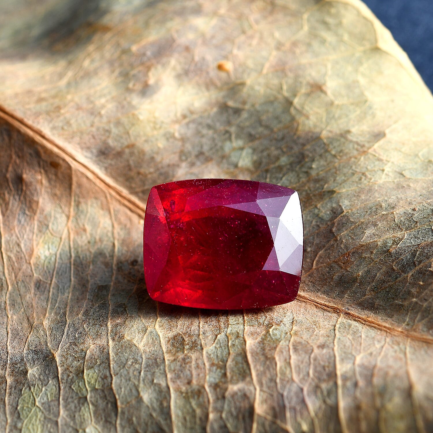 African Ruby (FF) Cushion 12x10 mm 8.59 Ct.