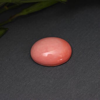 https://tjcuk.sirv.com/Products/61/9/6191867/Peach-Opal-Oval-16x12-mm-5.53-Ct._6191867_1.jpg?w=342&h=342