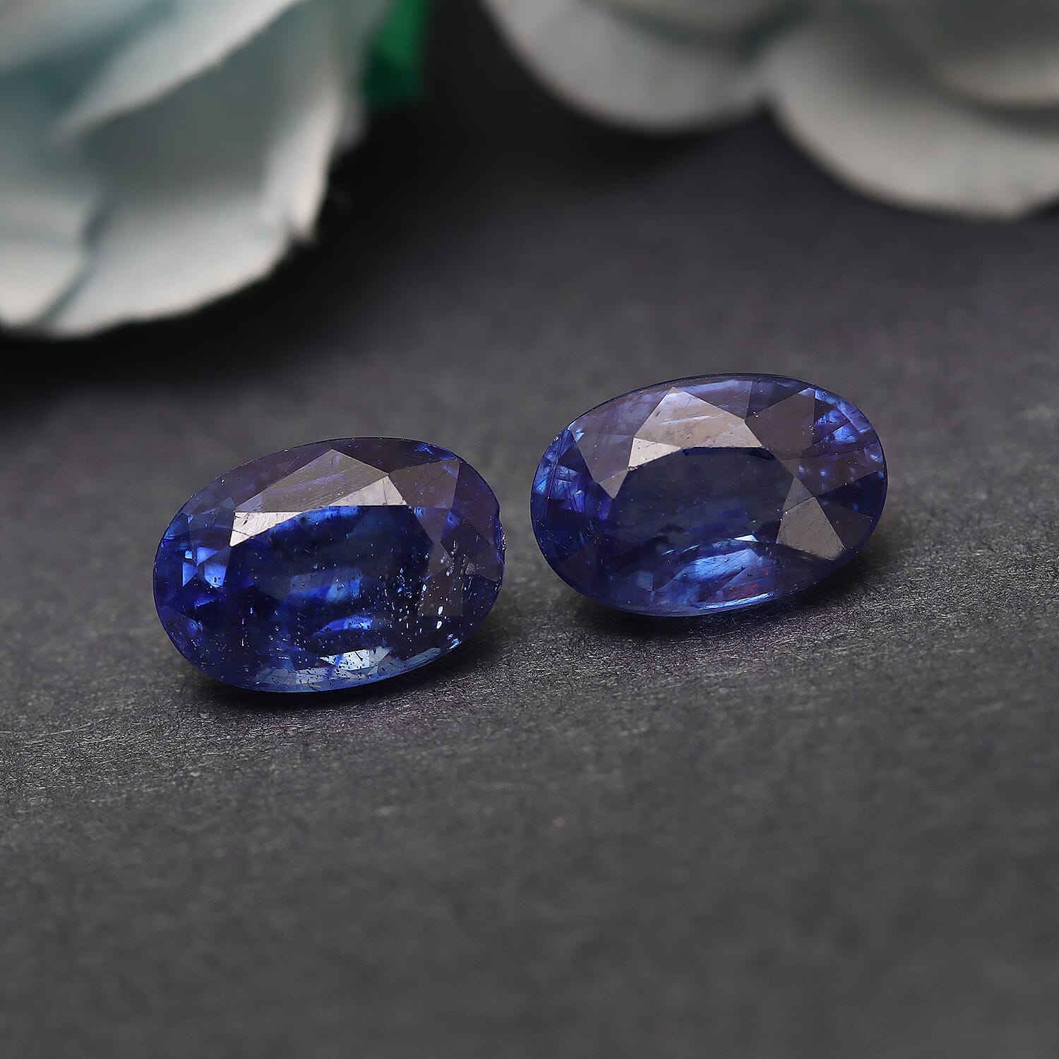 Set of 2 - AA Masoala Sapphire (FF) Oval 6x4 mm 1.27 Ct.