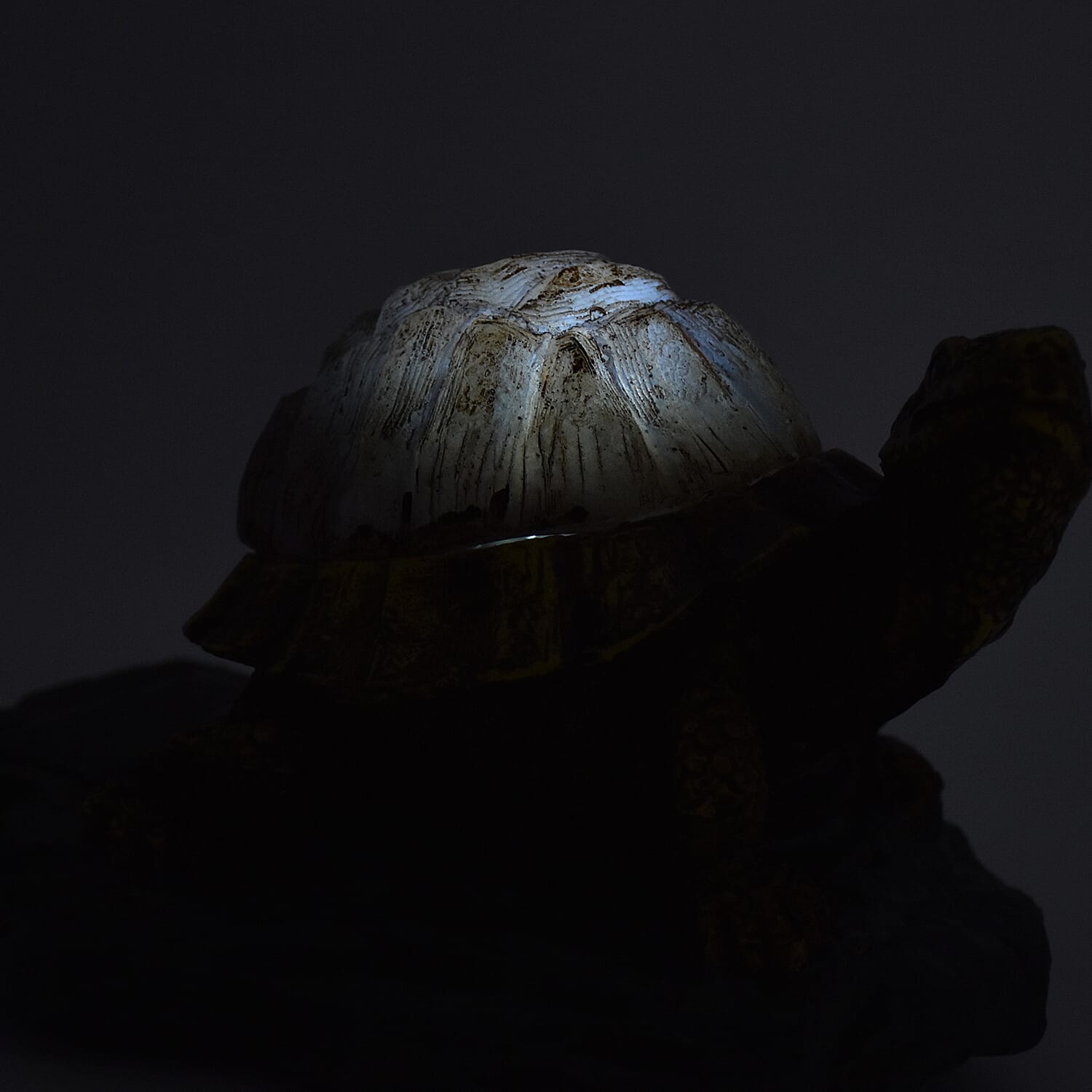 Decorative Solar Tortoise Outdoor Light