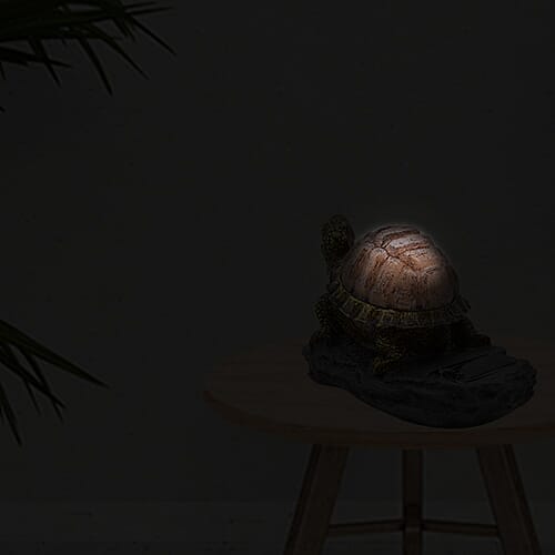 Decorative Solar Tortoise Outdoor Light