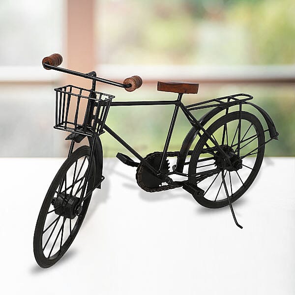 Cycle Model Big (Size 48.25x13 Cm)