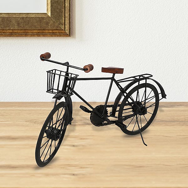 Cycle Model Big (Size 48.25x13 Cm)