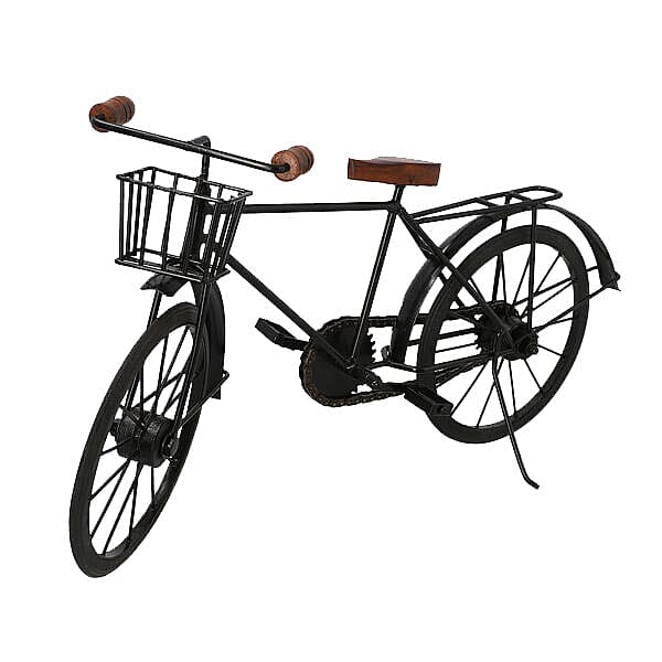 Cycle Model Big (Size 48.25x13 Cm)