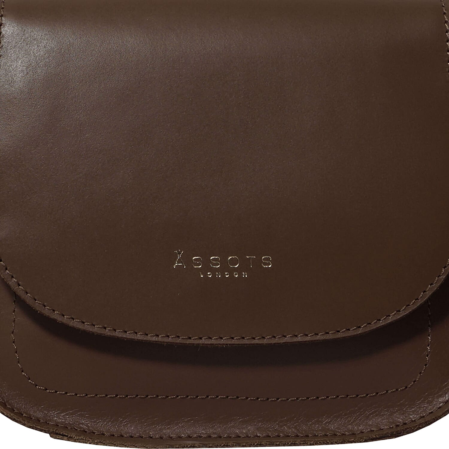 ASSOTS LONDON Nicola Genuine Leather Fully Lined Saddle Bag (Size 20x19x8 Cm) - Tan