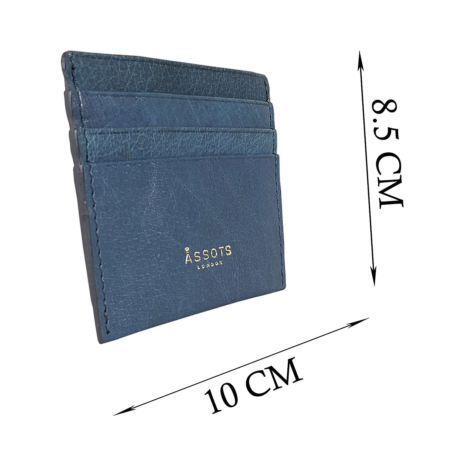 Assots London FANN Credit Card Holder in Blue (Size 10x8cm)