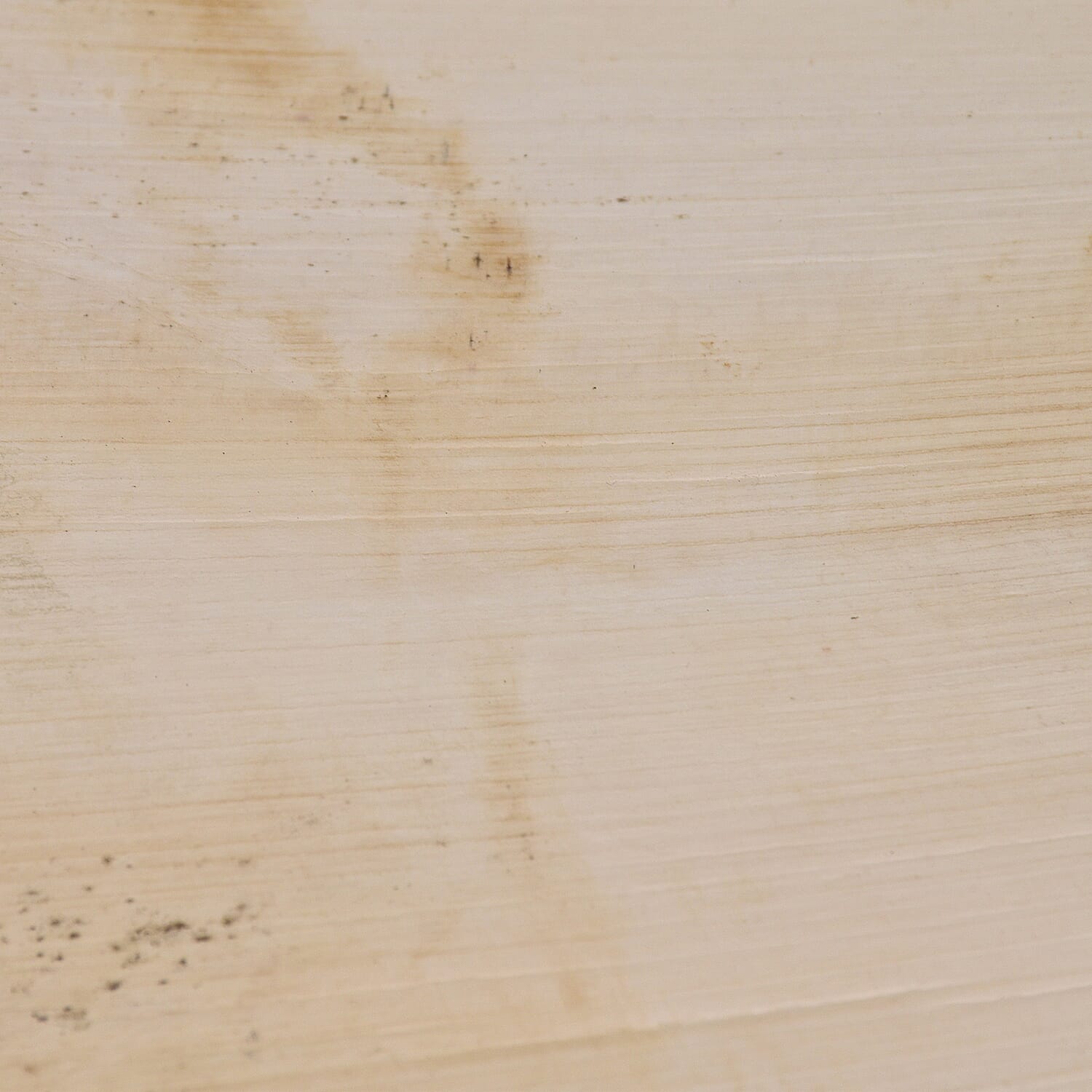 Areca Palm Leaf Square Plates (Pack of 10 pcs) (Size 23 Cm)