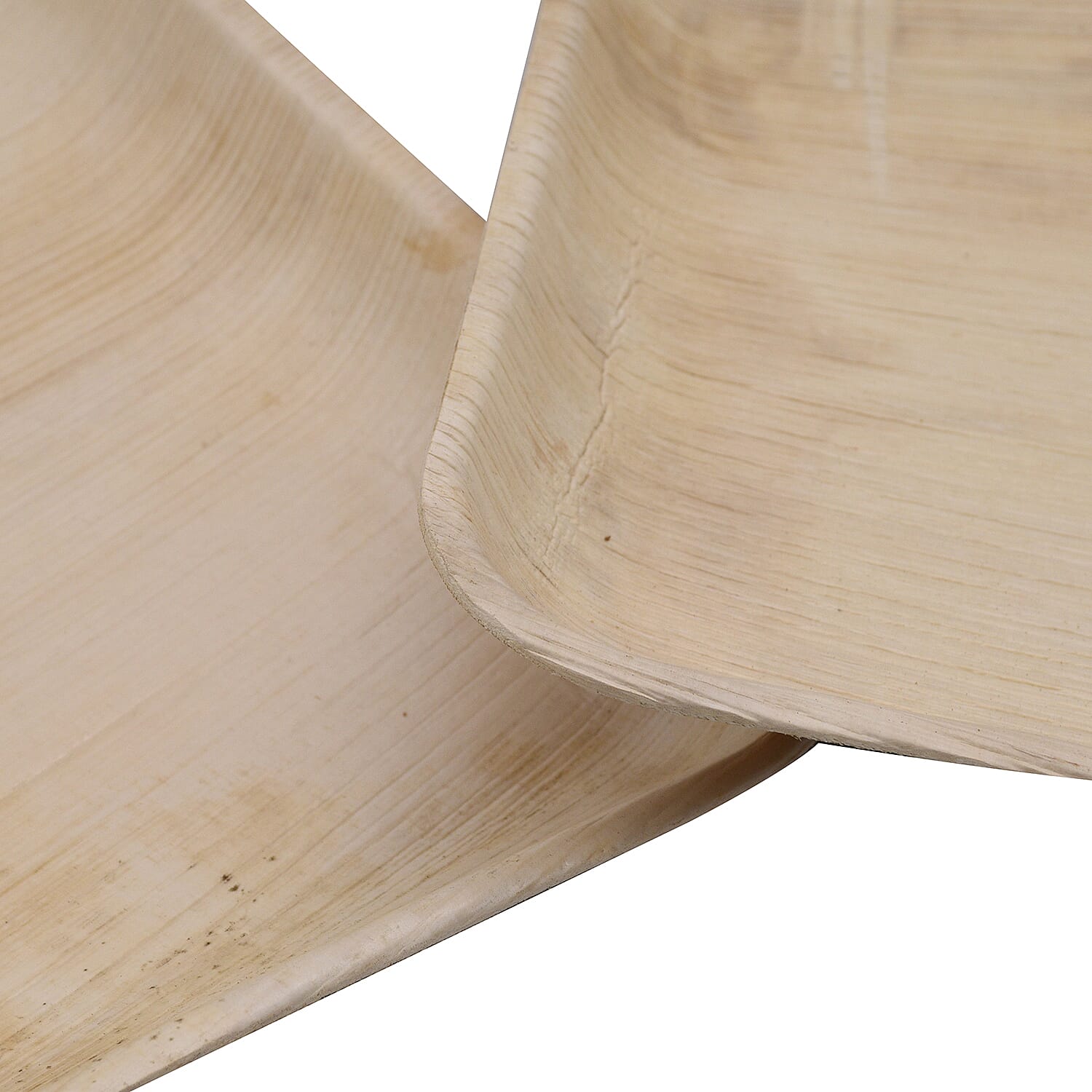 Areca Palm Leaf Square Plates (Pack of 10 pcs) (Size 23 Cm)