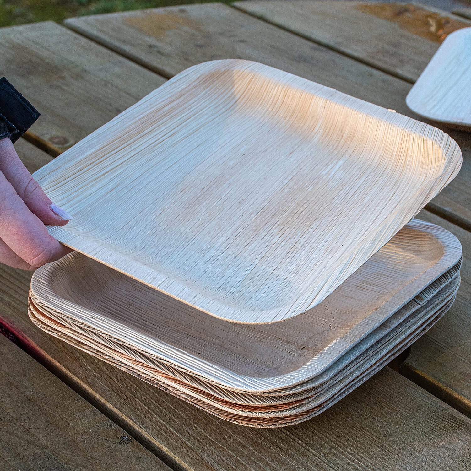 Areca Palm Leaf Square Plates (Pack of 25 pcs) (Size 23 CM)