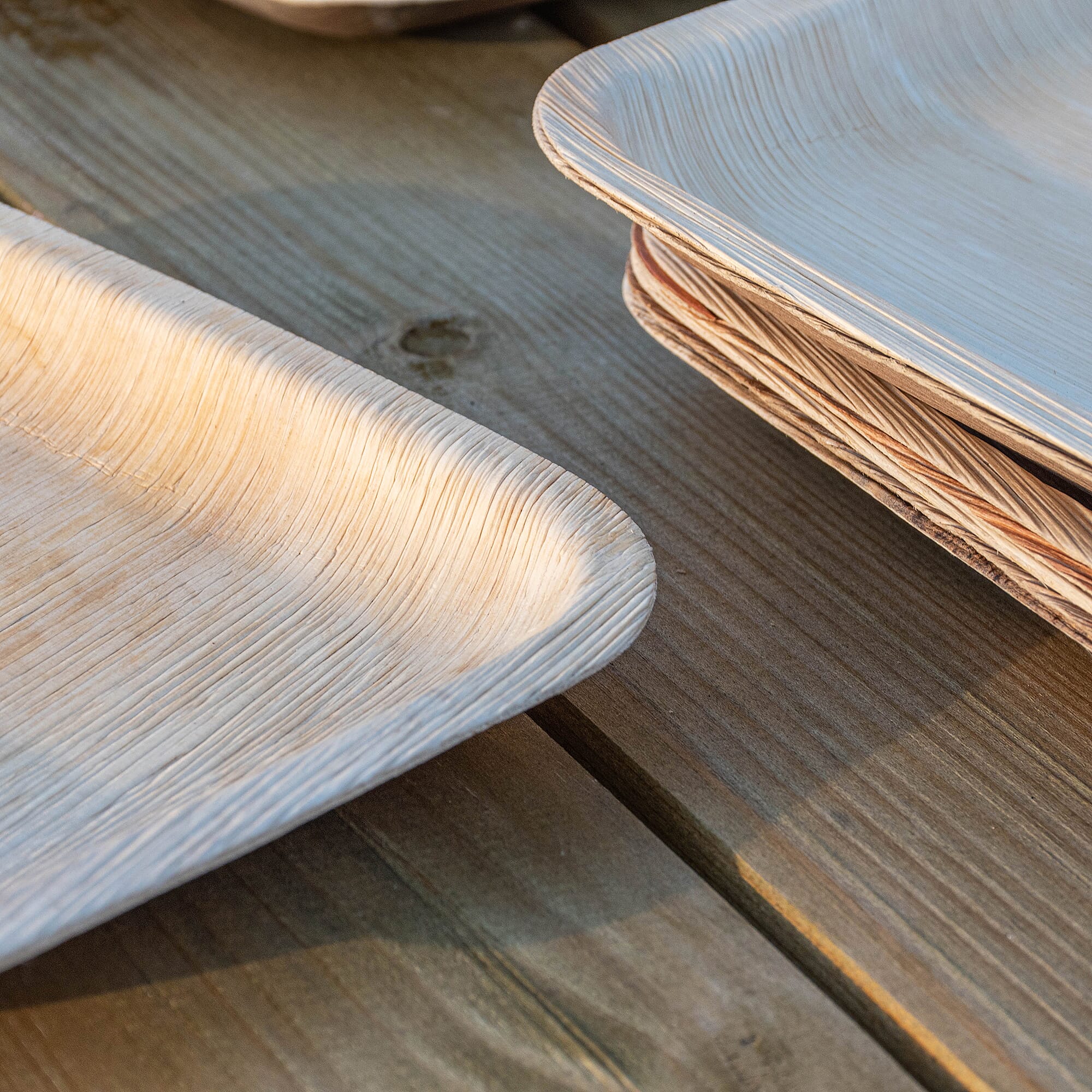 Areca Palm Leaf Square Plates (Pack of 25 pcs) (Size 15x15cm)