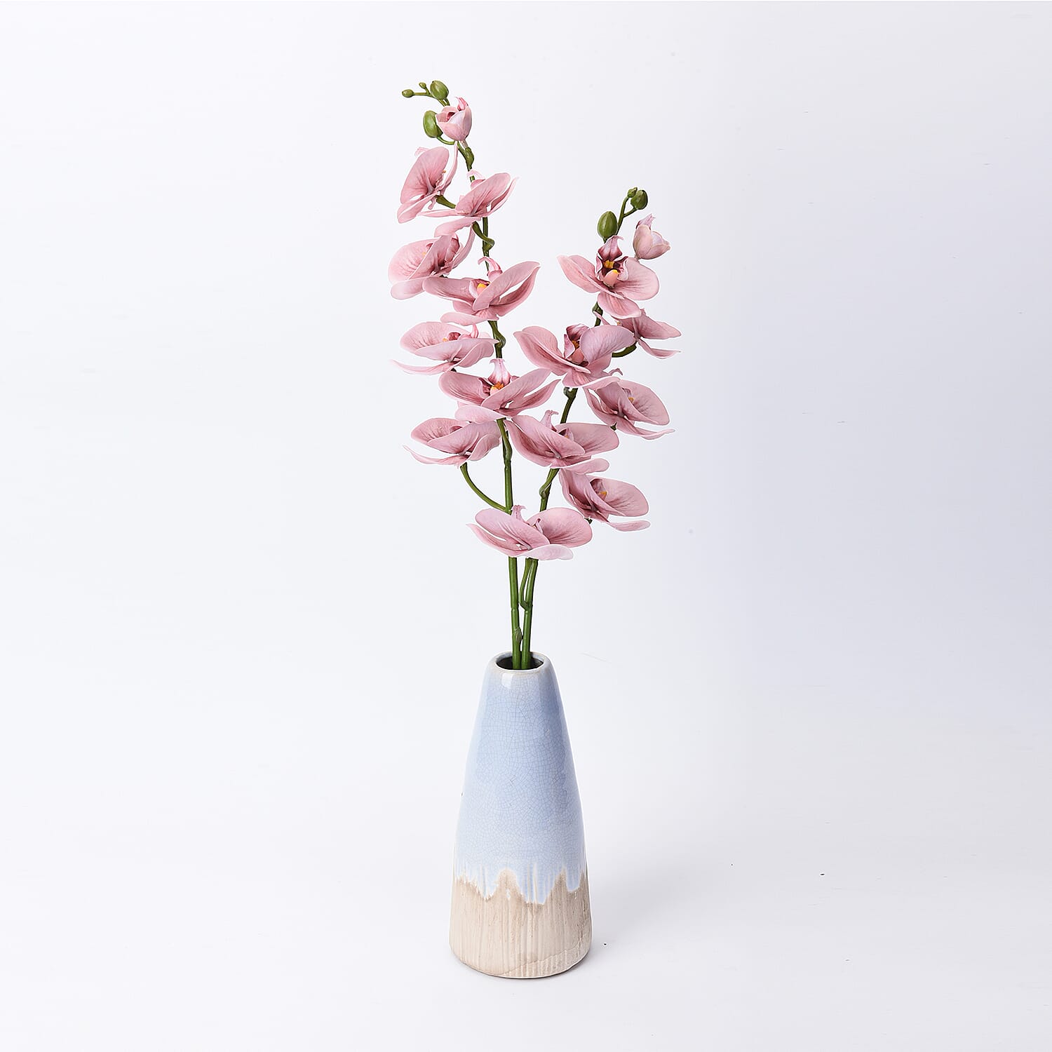 The 5th Season Butterfly Orchid Flowers Arrangement with Vase - Pink