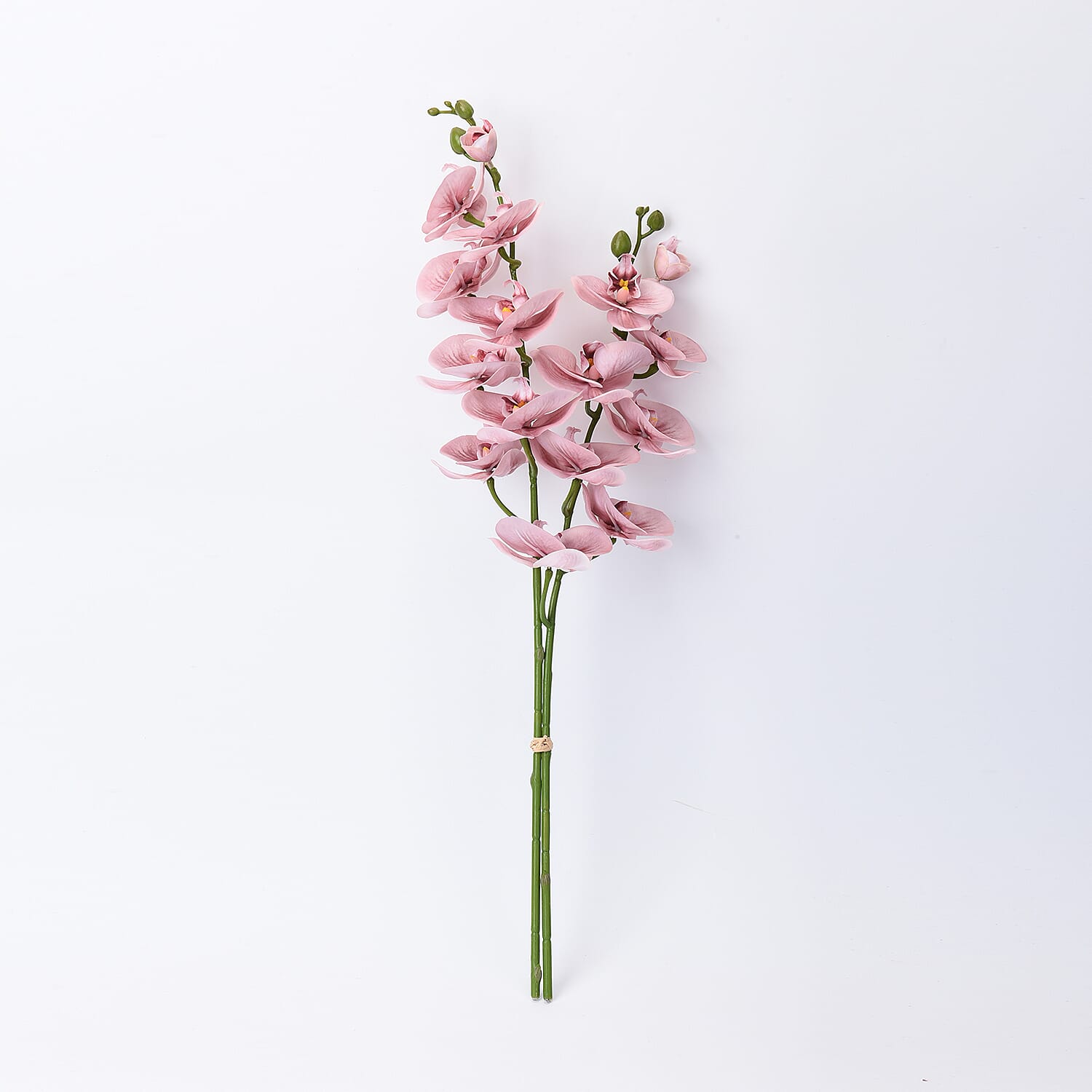 The 5th Season Butterfly Orchid Flowers Arrangement with Vase - Pink