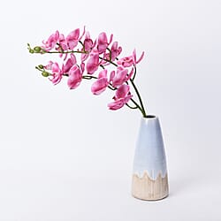 The 5th Season Dahlia Maple Flowers Arrangement with Vase - Orange