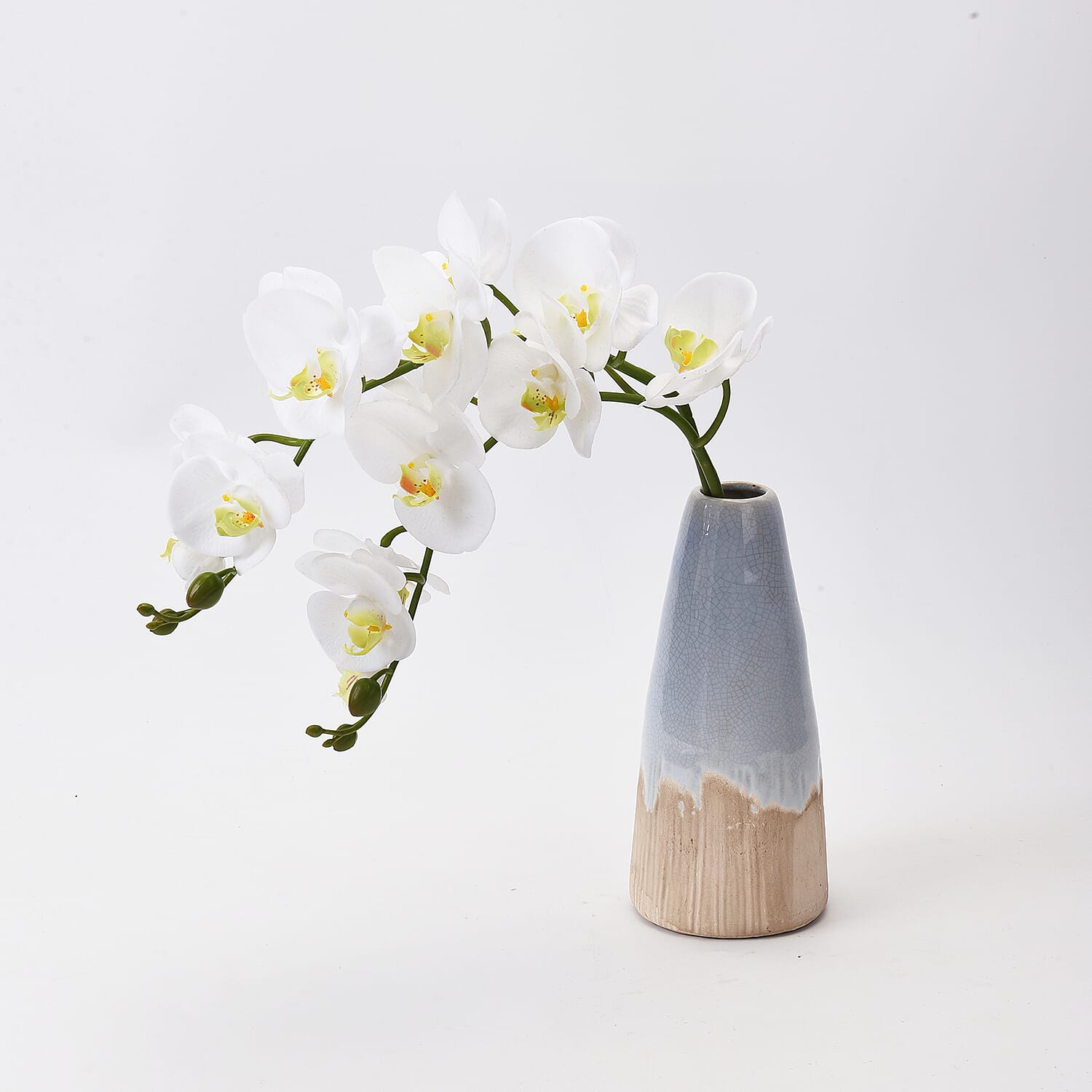 The 5th Season Butterfly Orchid Flowers Arrangement with Vase - White