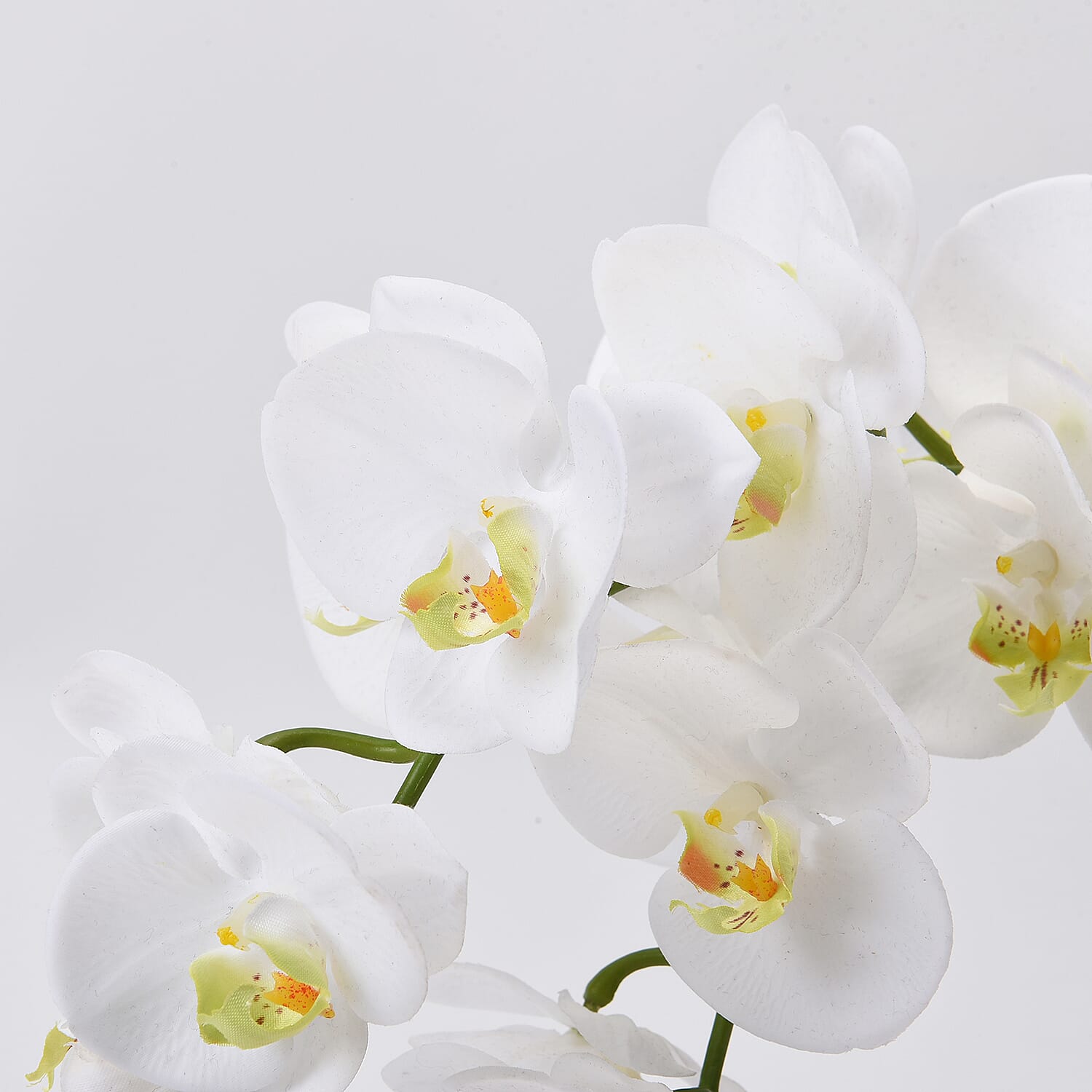 The 5th Season Butterfly Orchid Flowers Arrangement with Vase - White