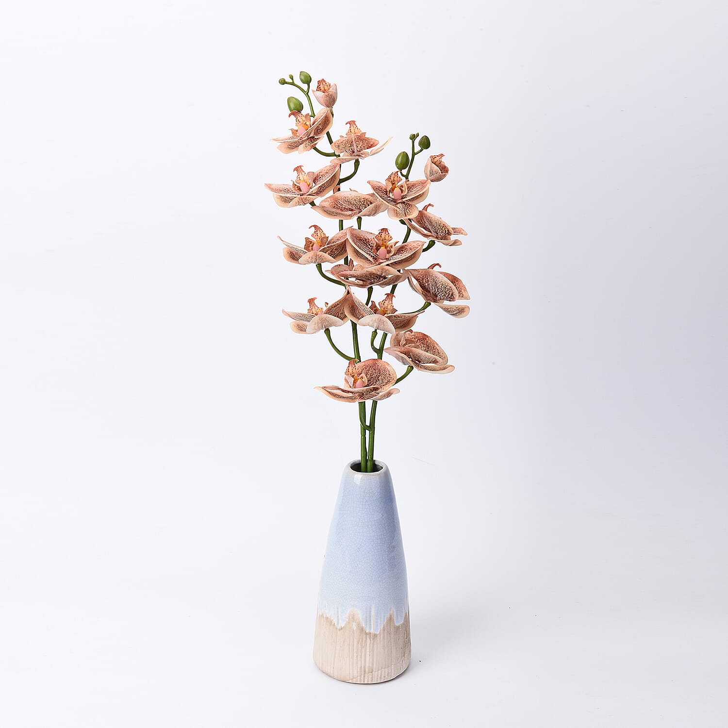 The 5th Season Tiger Butterfly Orchid Flowers Arrangement with Vase - Peach