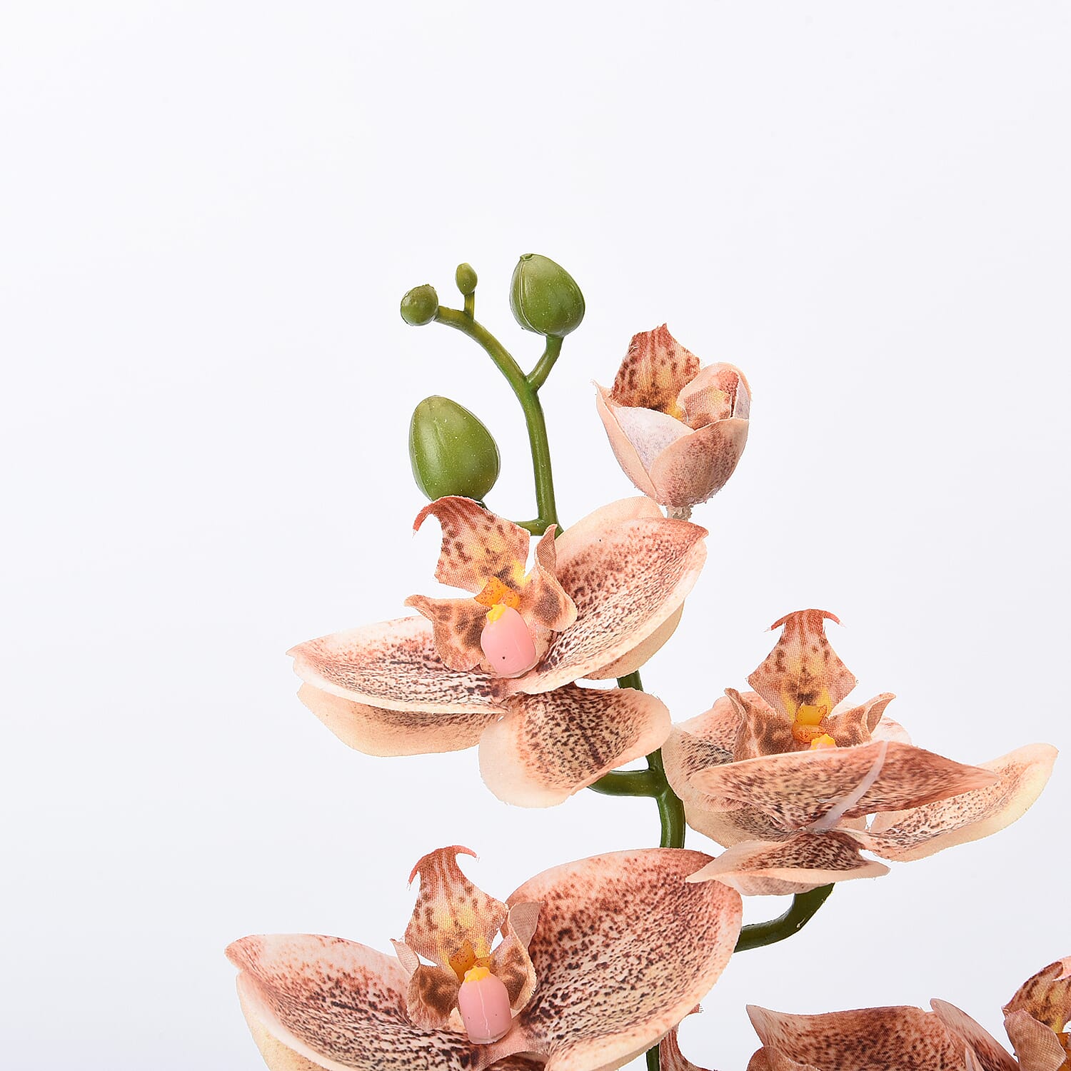 The 5th Season Tiger Butterfly Orchid Flowers Arrangement with Vase - Peach