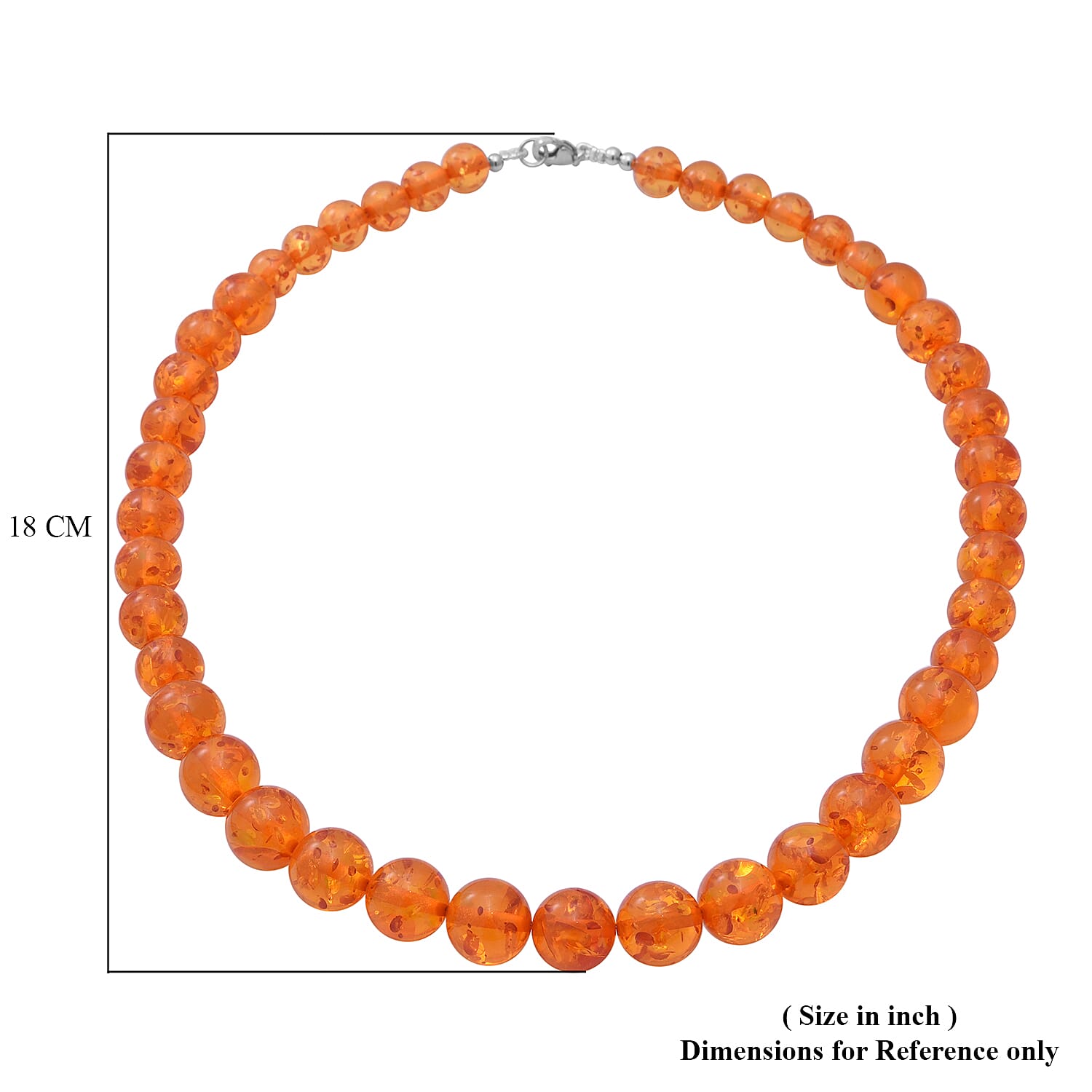 Extremely Rare AAA Natural Baltic Amber Necklace (Size - 18) in Sterling Silver