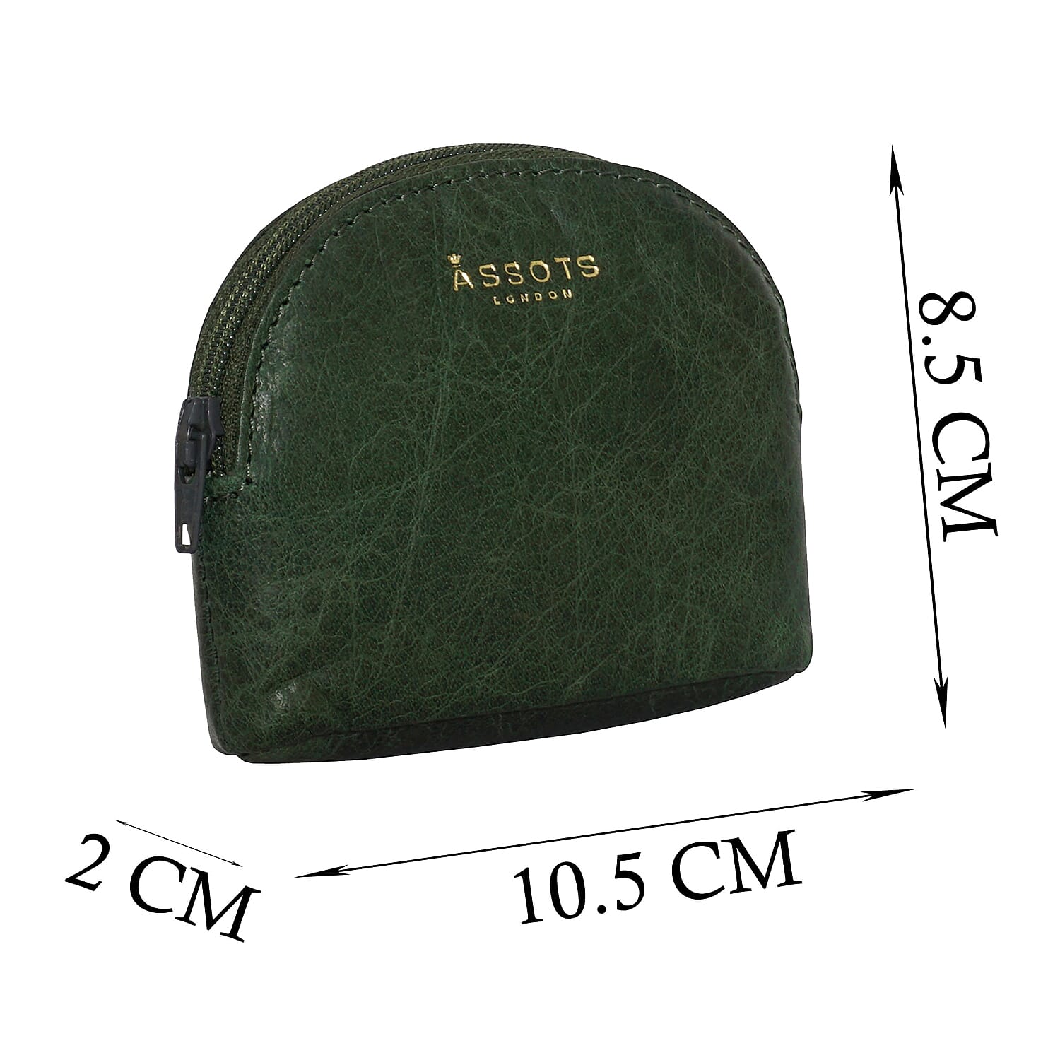 Assots London Lotty 100% Genuine Leather Zip Top Coin Purse (Size 10x2x8 Cm) - Green
