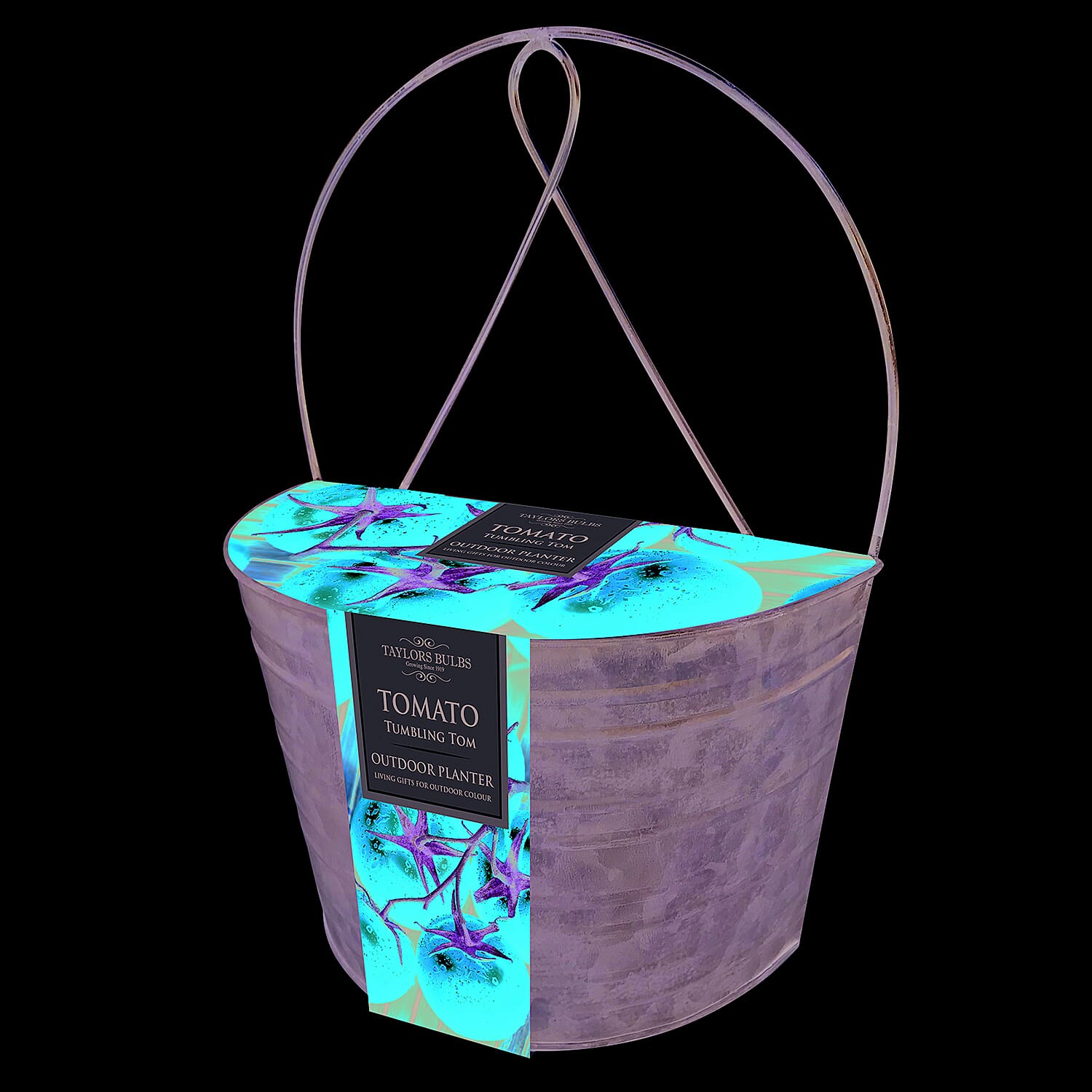 Taylors Outdoor Tumbling Tomatoes Grow Your Own Kit