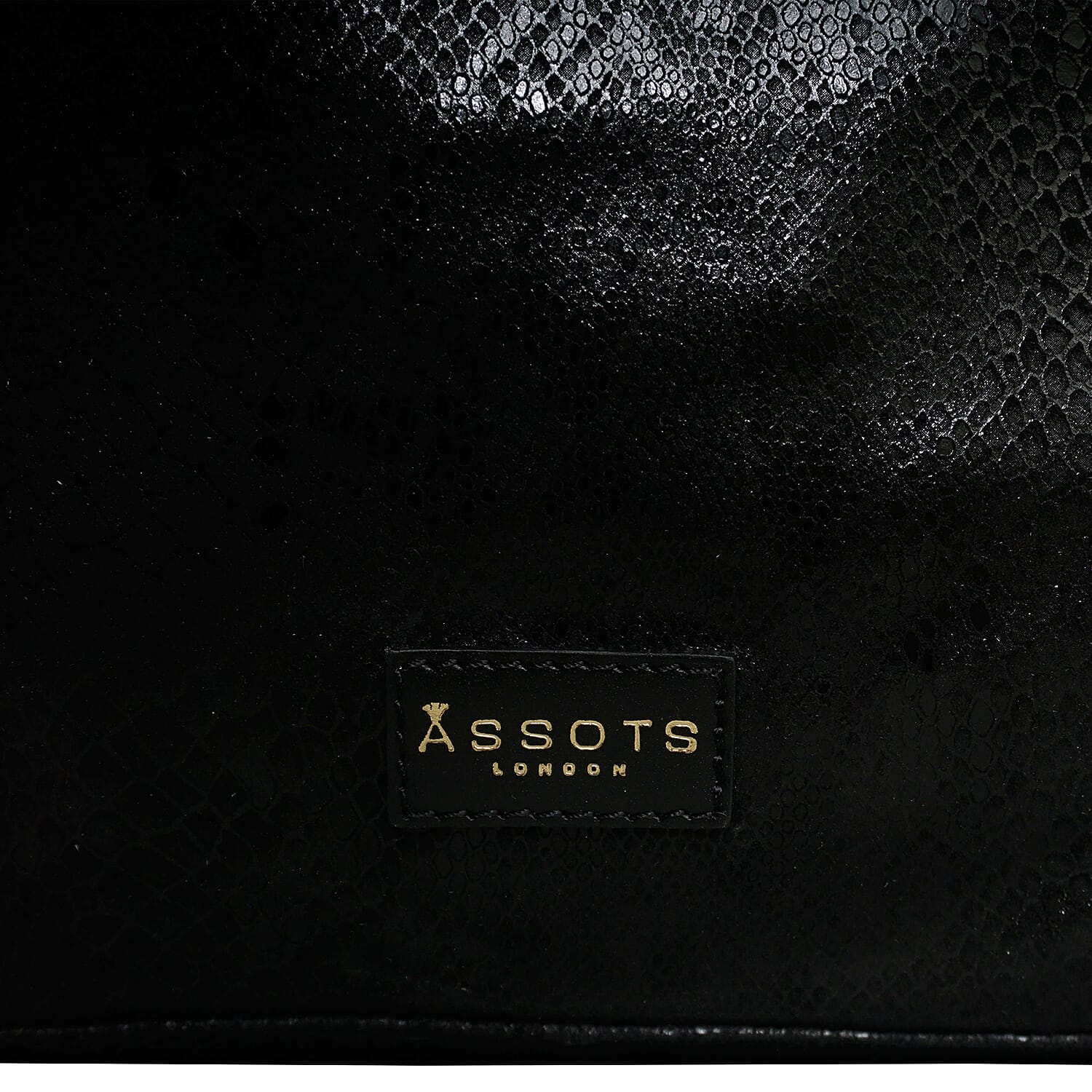 Assots London ESME Genuine Suede Leather Python Print Hobo Bag - Black