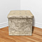 Lesser and Pavey Velvet Folding Storage Ottoman Box in Champagne Colour (Size 35x35x37 cm)