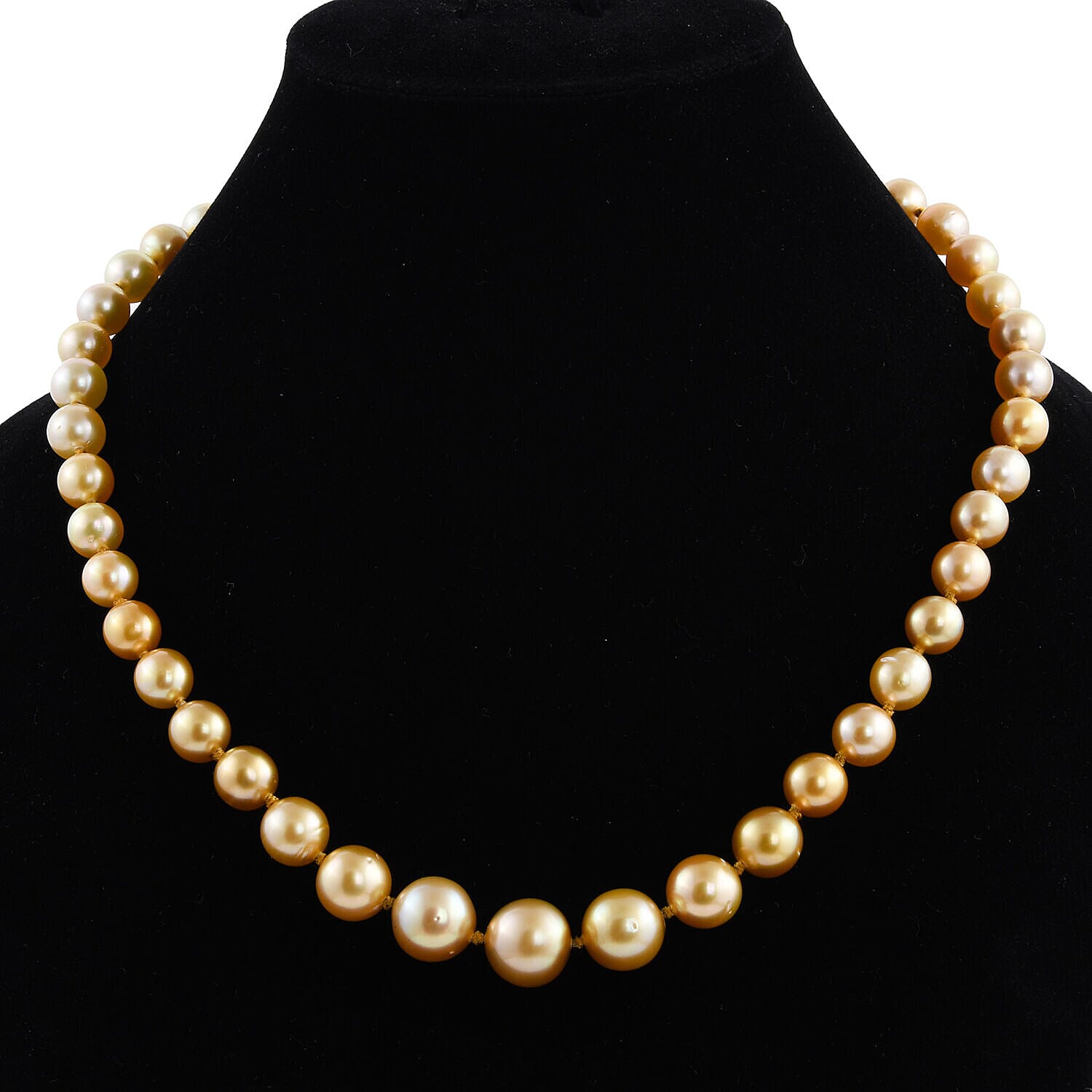 Collectors Edition- RHAPSODY 950 Platinum AAAA Golden South Sea Pearl Necklace (Size 20) with Lobster Clasp