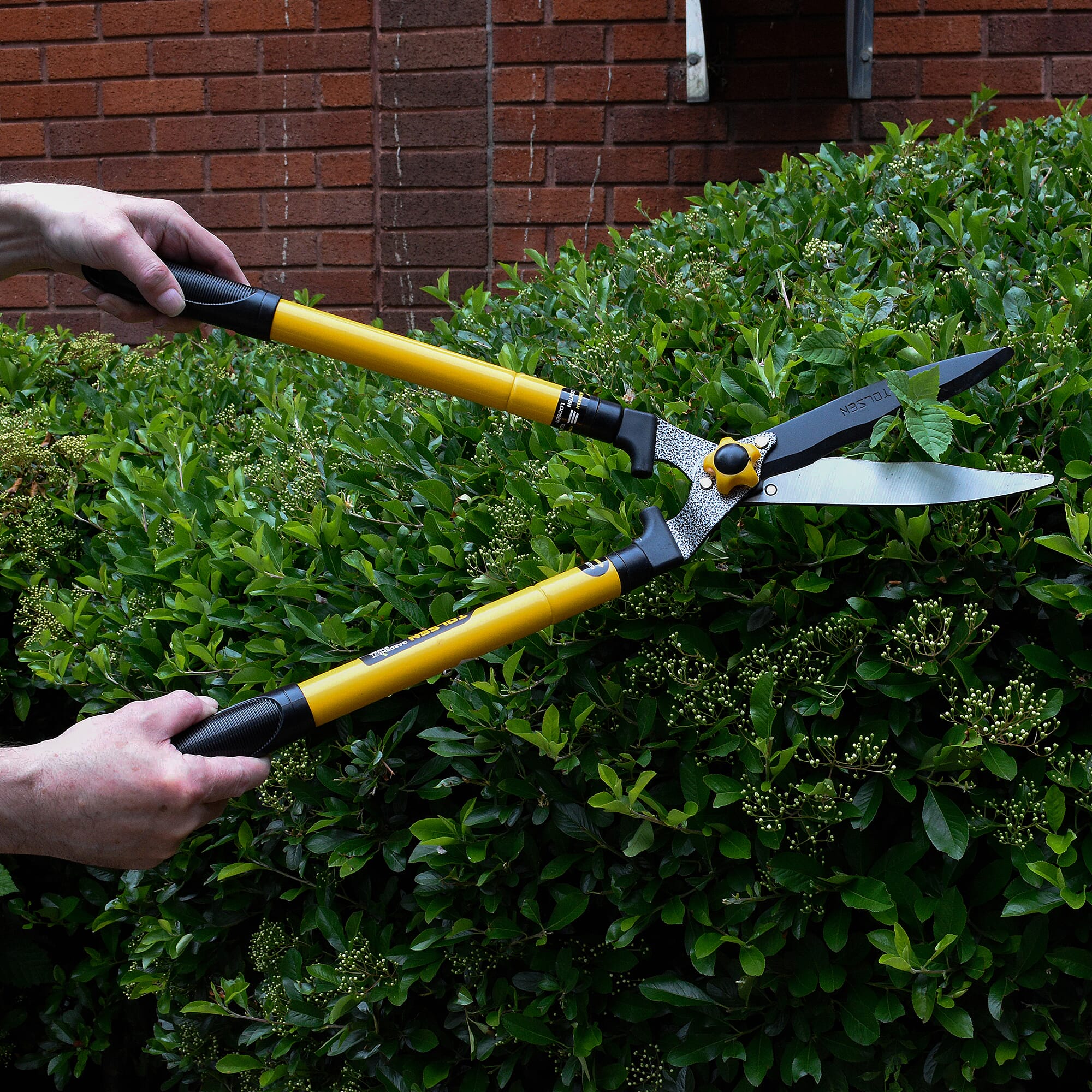 Tolsen Telescopic Hedge Shear