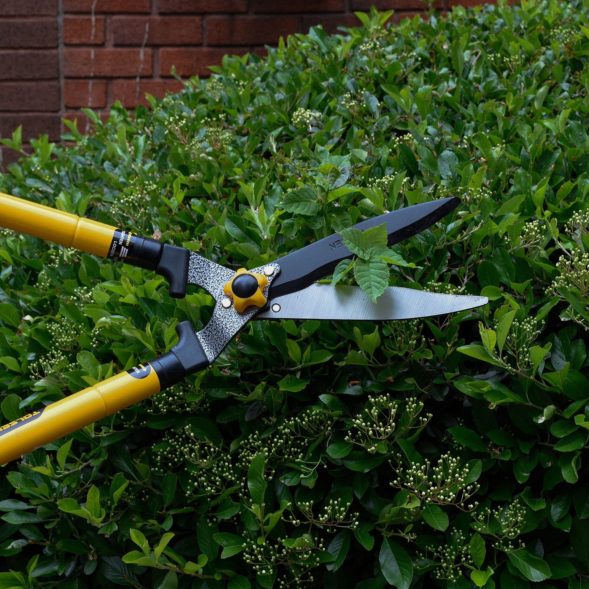 Tolsen Telescopic Hedge Shear