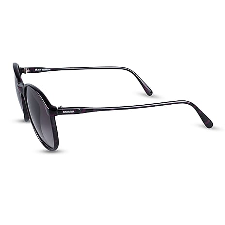 CARRERA Acetate Sunglasses with Brown Lenses and Tort Purple Frame
