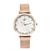 GENOA Japanese Movement White Dial Diamond Studded Water Resistant Watch with Mesh Belt in Rose Gold Tone