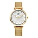 GENOA Japanese Movement White Dial Diamond Studded Water Resistant Watch with Mesh Belt in Yellow Gold Tone