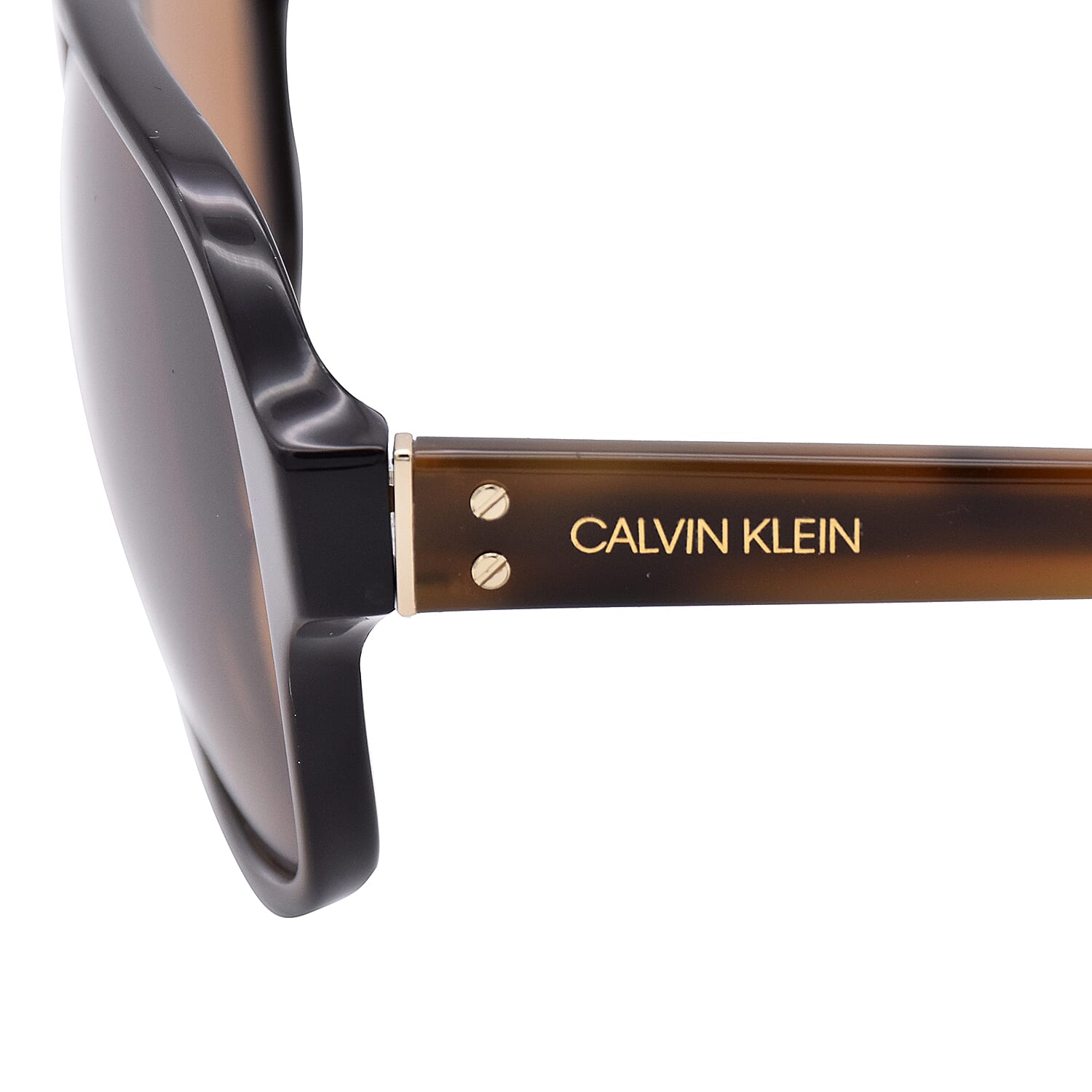 CALVIN KLEIN Dark Brown Aviator with Brown Tint Lenses