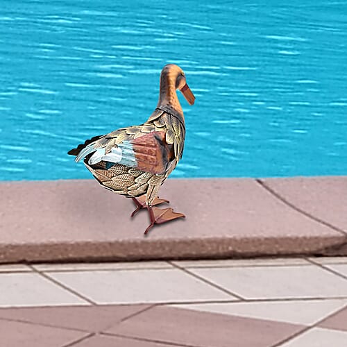 Duck Garden Ornamant