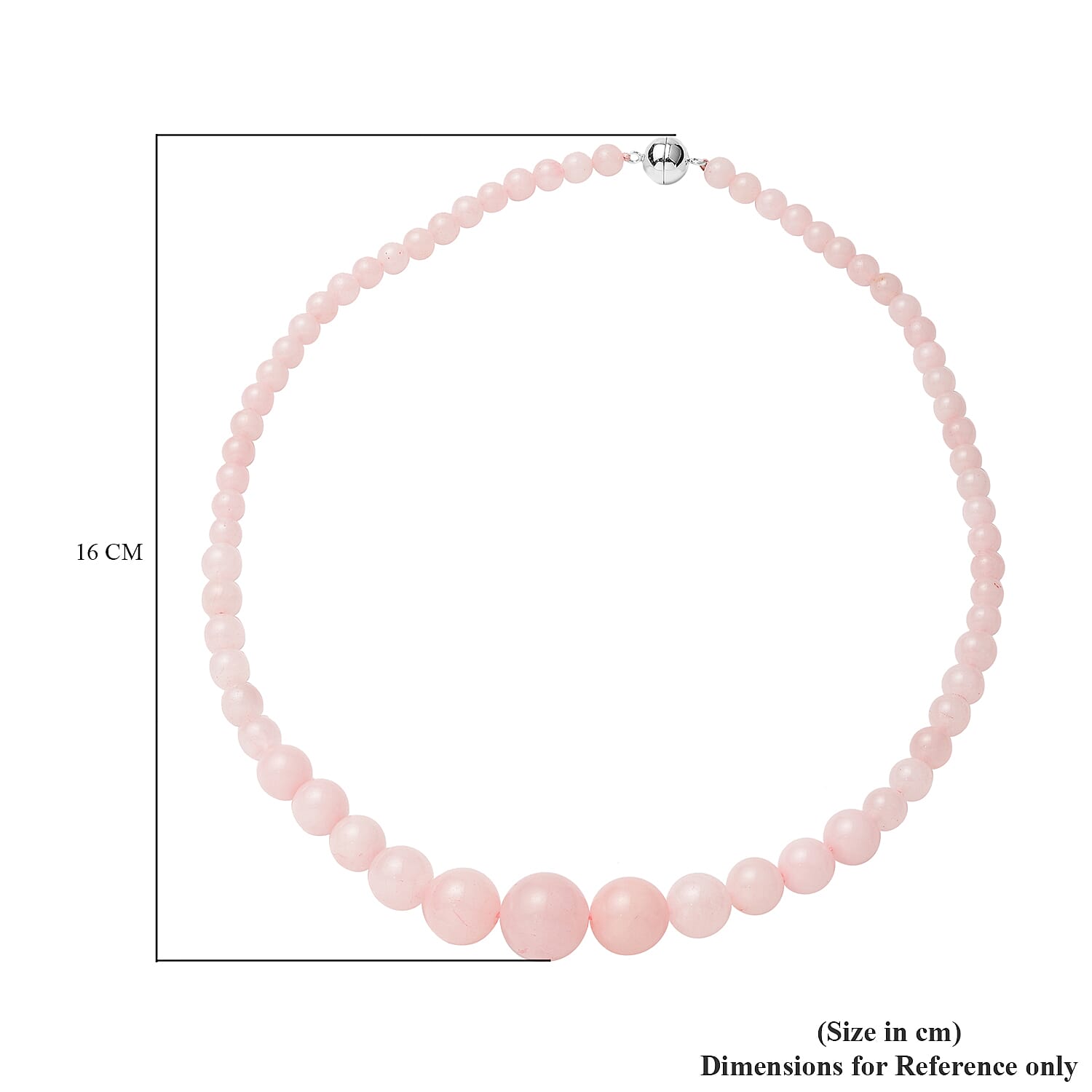 Rose Quartz Graduated Beads Necklace (Size 20) with Magnetic Lock in Sterling Silver 250.00 Ct