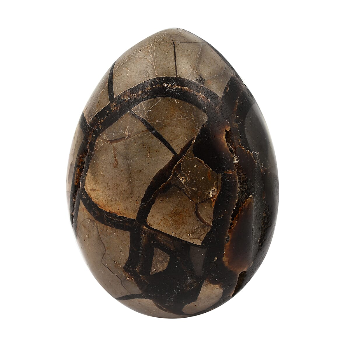 Gem Treasures - Septarian Dragon Egg (3-4 inches)- Approx. 1800 Ct