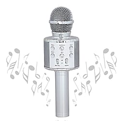 Microphone Bluetooth Speaker - Pink