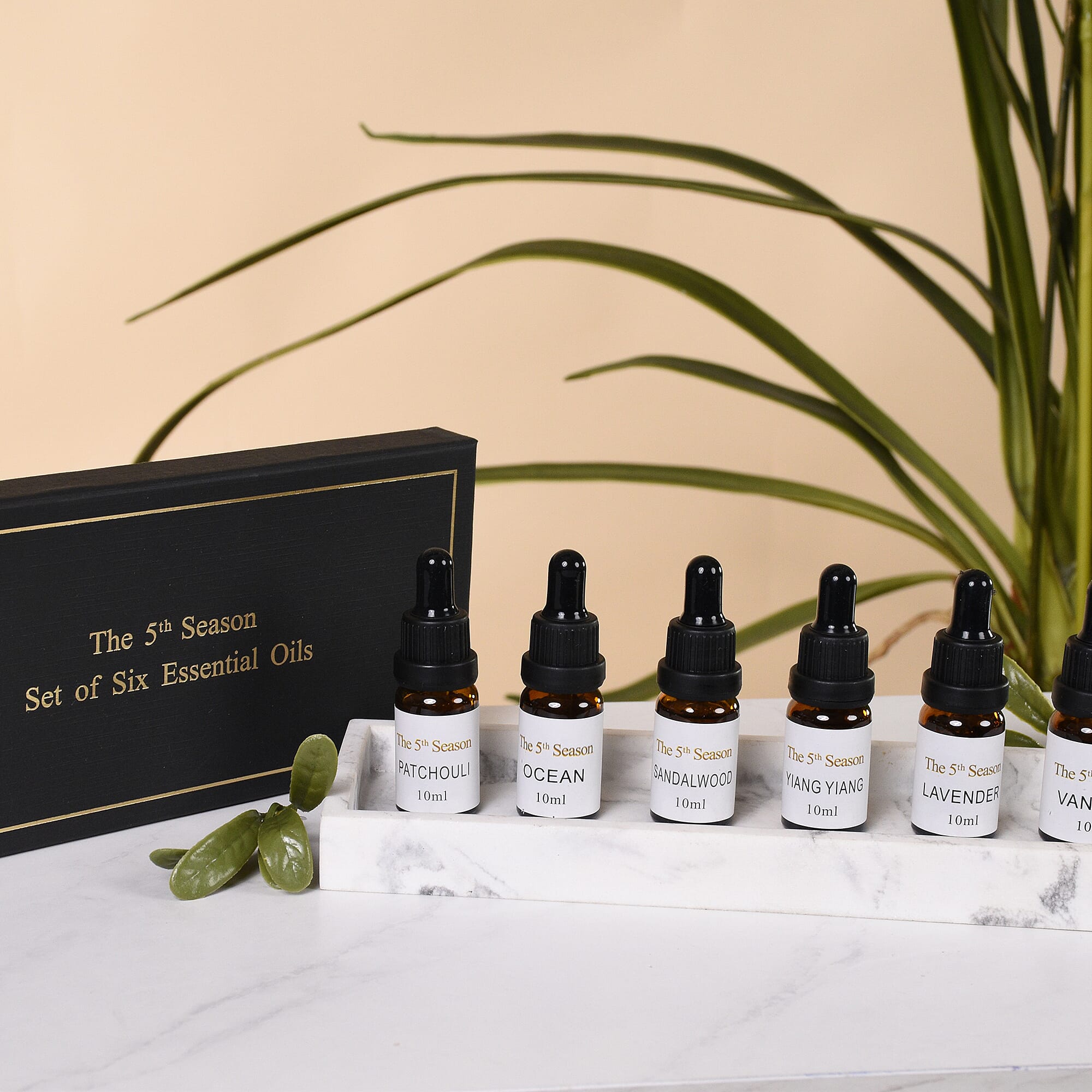 The 5th Season - Set of 6 Fragrance Oils Relaxation Set (Fragrance: Lavender, Ylang Ylang, Sandalwood, Patchouli, Ocean and Vanilla)- 10ml each