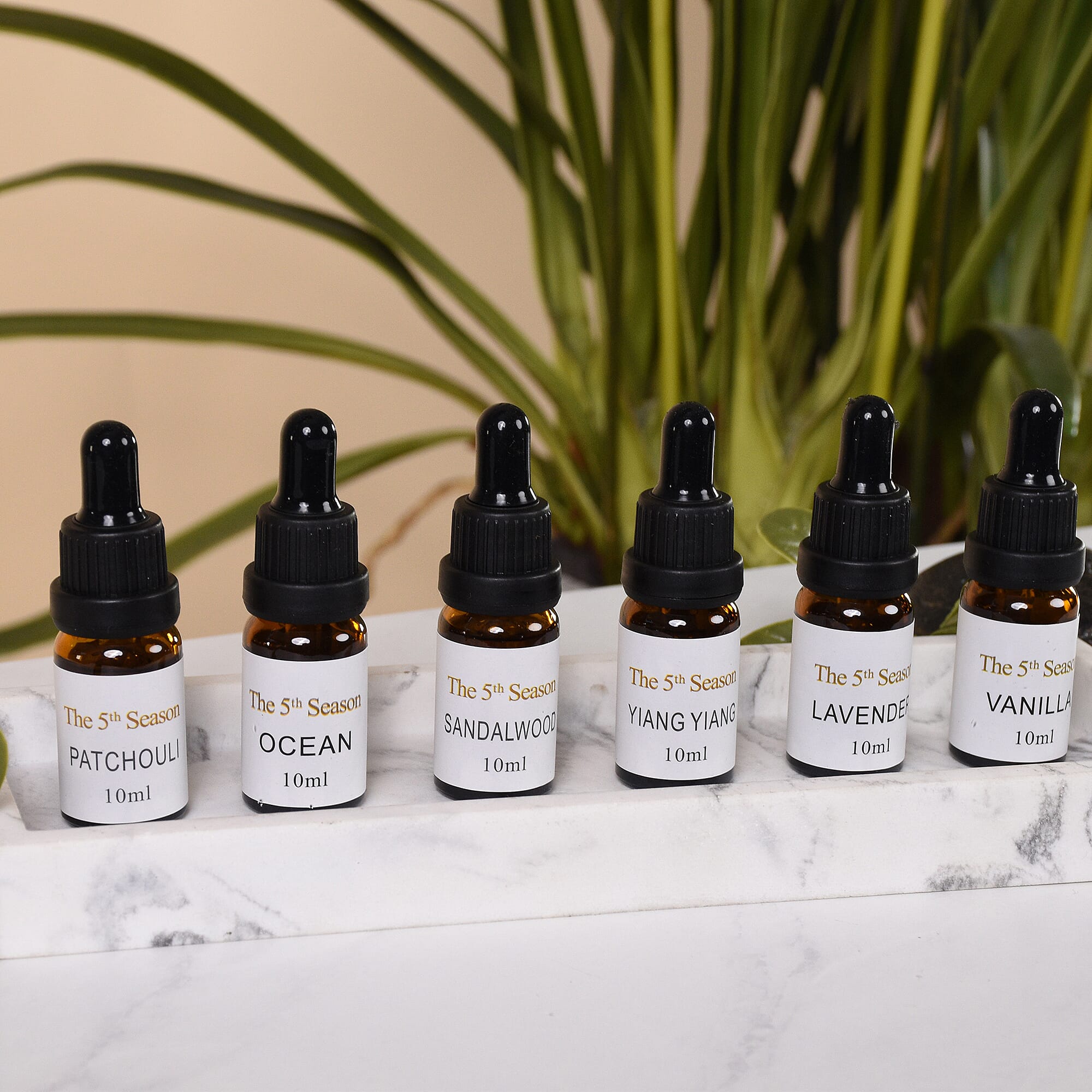 The 5th Season - Set of 6 Fragrance Oils Relaxation Set (Fragrance: Lavender, Ylang Ylang, Sandalwood, Patchouli, Ocean and Vanilla)- 10ml each