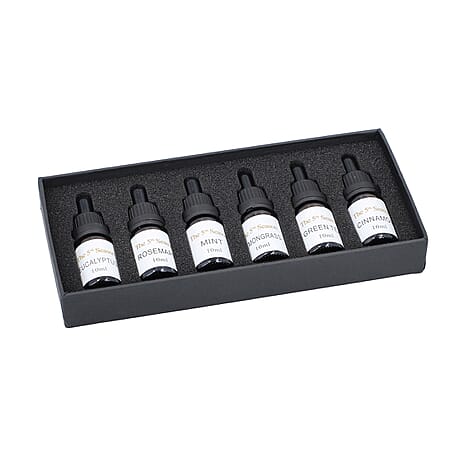 The 5th Season - Set of 6 Fragrance Oils Energising Set (Fragrance- Eucalyptus, Mint,  Rosemary, Lemongrass, Cinnamon and  Green Tea)- 10ml each