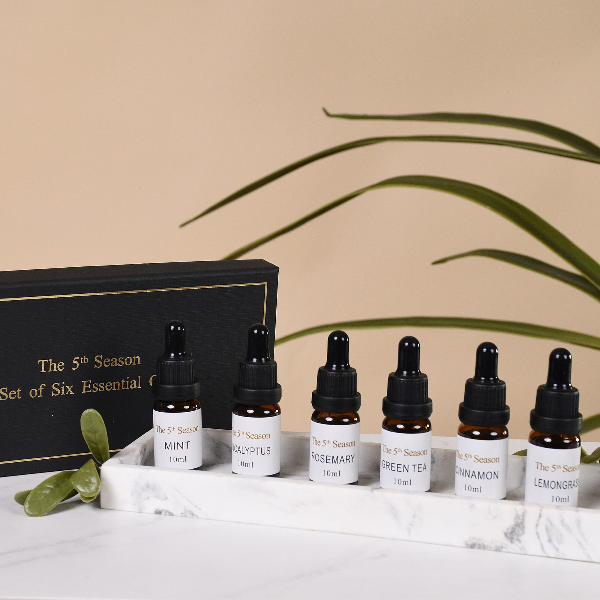 The 5th Season - Set of 6 Fragrance Oils Energising Set (Fragrance- Eucalyptus, Mint,  Rosemary, Lemongrass, Cinnamon and  Green Tea)- 10ml each