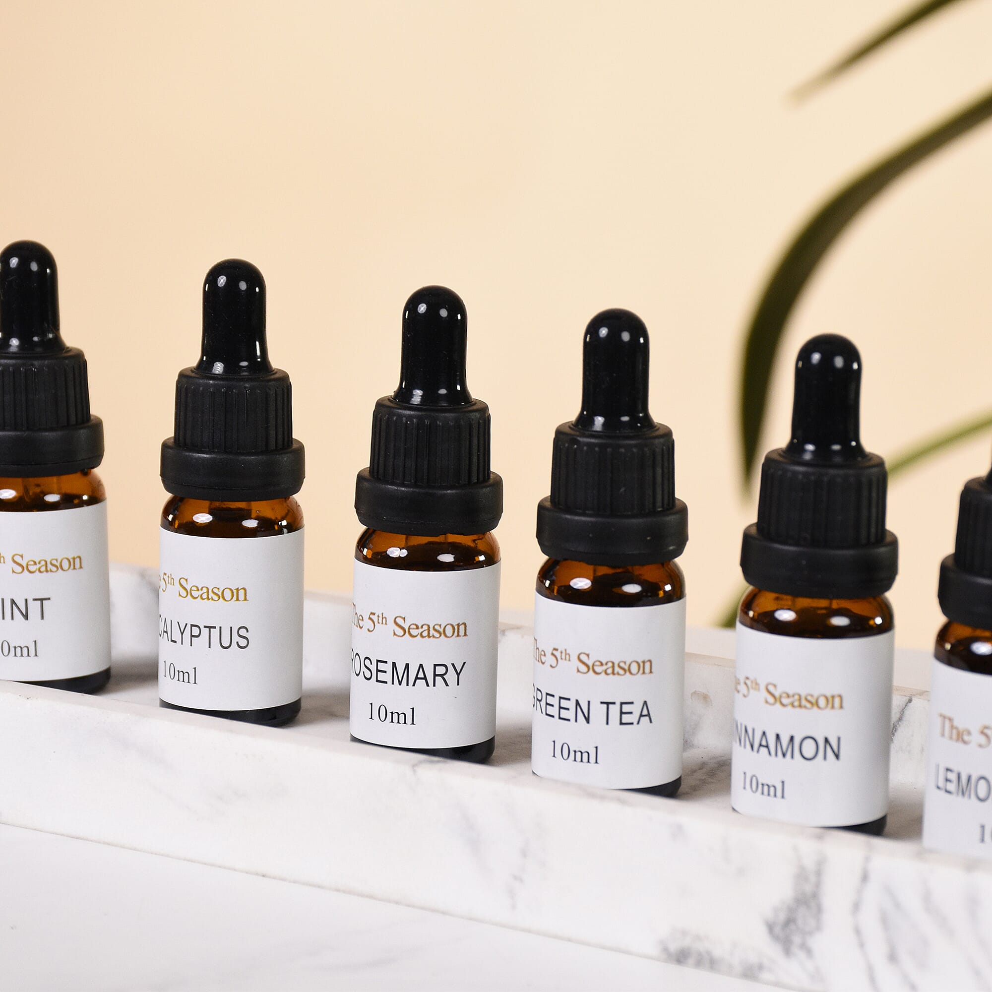 The 5th Season - Set of 6 Fragrance Oils Energising Set (Fragrance- Eucalyptus, Mint,  Rosemary, Lemongrass, Cinnamon and  Green Tea)- 10ml each