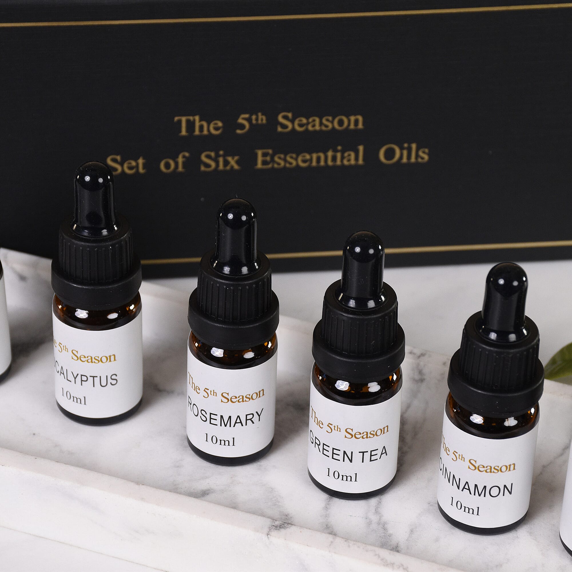 The 5th Season - Set of 6 Fragrance Oils Energising Set (Fragrance- Eucalyptus, Mint,  Rosemary, Lemongrass, Cinnamon and  Green Tea)- 10ml each