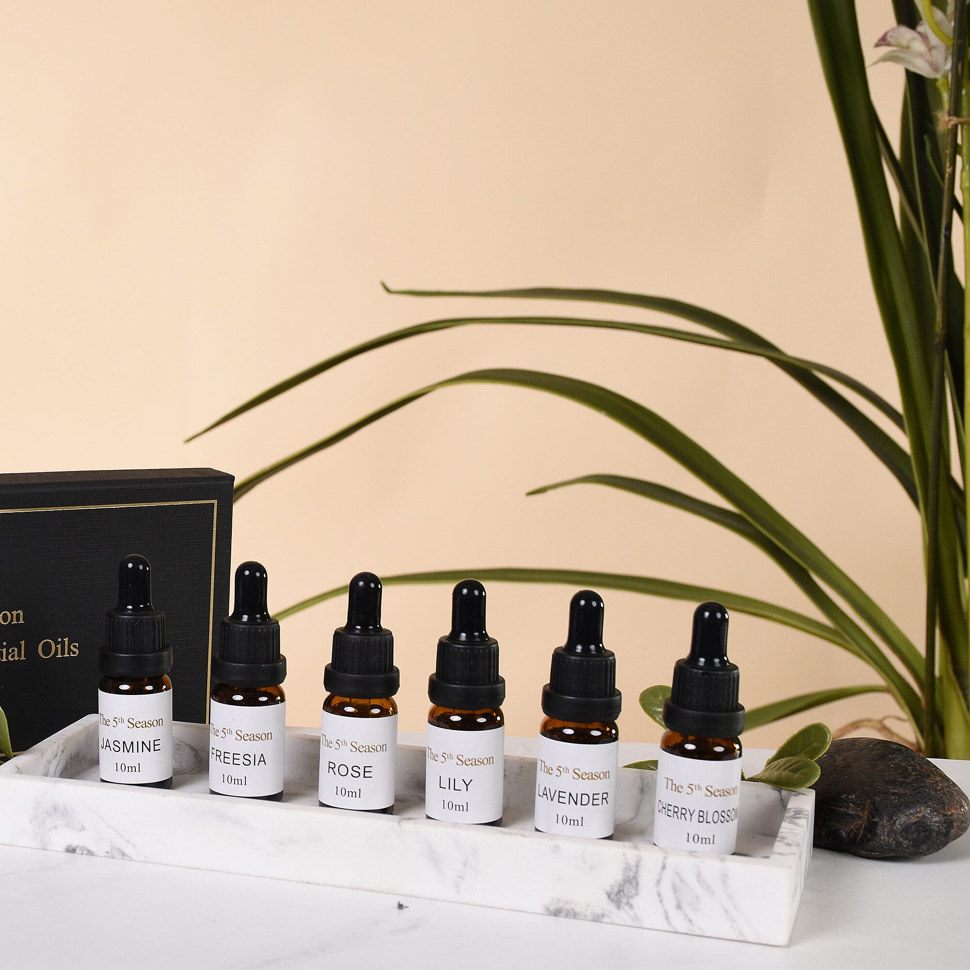 The 5th Season - Set of 6 Fragrance Oils Floral Set (Fragrance: Lavender, Rose, Jasmine, Freesia, Lily and Cherry Blossom )- 10ml