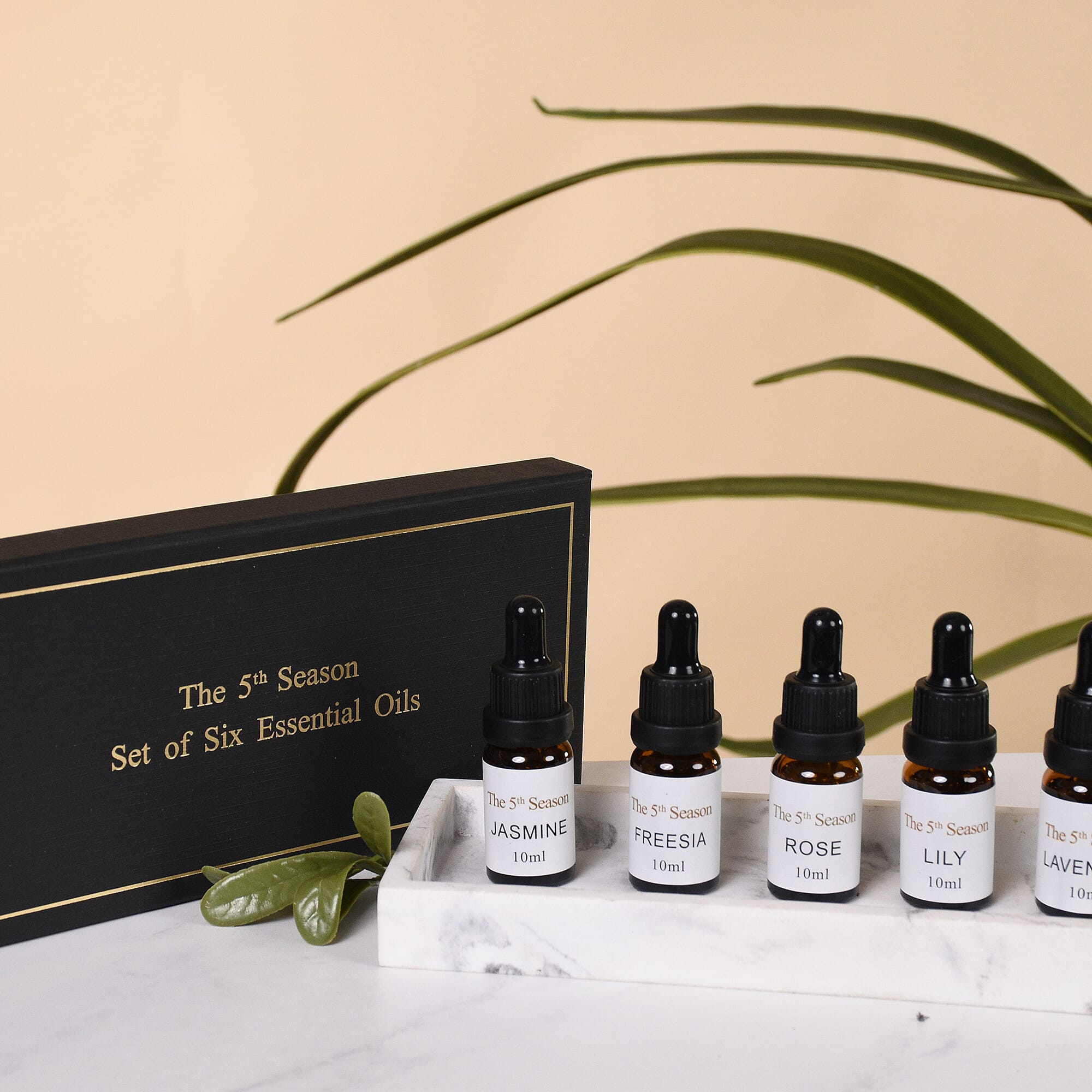 The 5th Season - Set of 6 Fragrance Oils Floral Set (Fragrance: Lavender, Rose, Jasmine, Freesia, Lily and Cherry Blossom )- 10ml