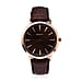 GANT Brown Dial Ladies Watch with Brown Leather Strap