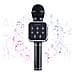 Wireless Rechargeable Karaoke Microphone with Bluetooth Speaker - Black