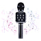 Wireless Rechargeable Karaoke Microphone with Bluetooth Speaker - Black