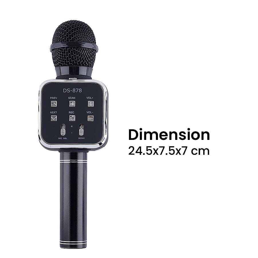 Wireless Rechargeable Karaoke Microphone with Bluetooth Speaker - Black